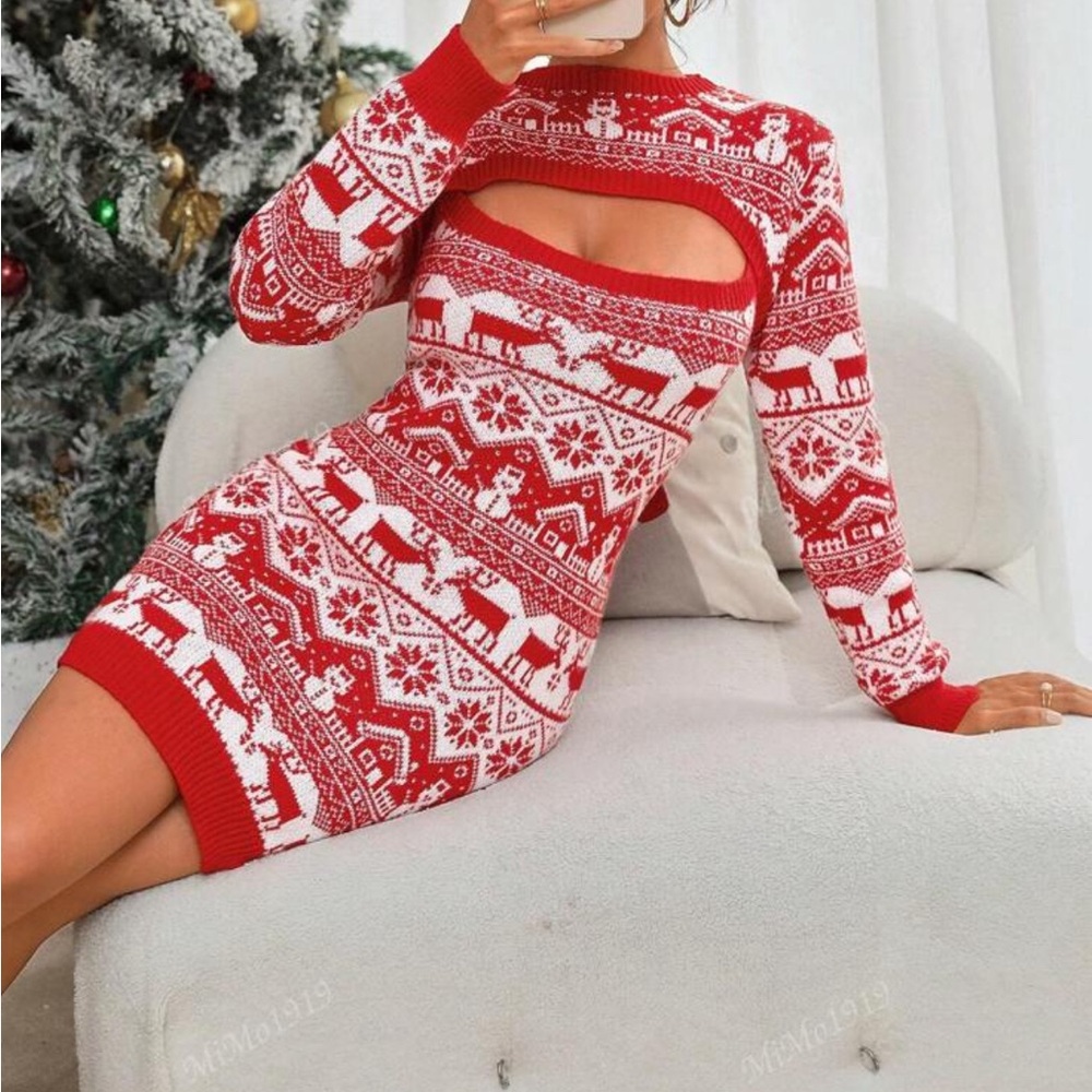 Christmas sweater dress